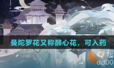 曼陀罗花又称醉心花，可入药