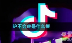 驴不会疼是什么梗