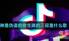 神是伪造的他生涯的三冠是什么歌
