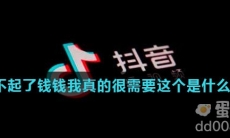 对不起了钱钱我真的很需要这个是什么梗