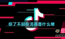 你了不起你清高是什么梗