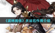 《武林闲侠》天运石作用介绍