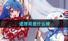 道理哥是什么梗