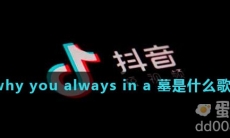 why you always in a 墓是什么歌
