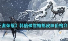 《王者荣耀》韩信傲雪梅枪皮肤价格介绍