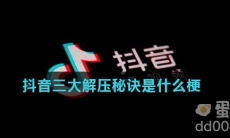 抖音三大解压秘诀是什么梗