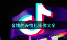 金钱豹表情包头像大全