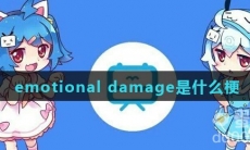 emotional damage是什么梗