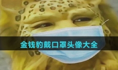 金钱豹戴口罩头像大全