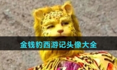 金钱豹西游记头像大全