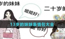 13岁的妹妹表情包大全