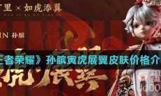 《王者荣耀》孙膑寅虎展翼皮肤价格介绍