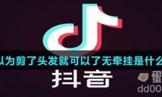 我以为剪了头发就可以了无牵挂是什么歌