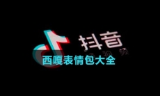 西嘎表情包大全