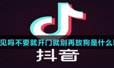 听见吗不要就开门就别再放狗是什么歌