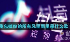 我忘掉你的所有风里雨里是什么歌