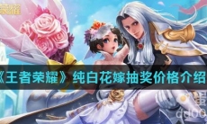 《王者荣耀》纯白花嫁抽奖价格介绍