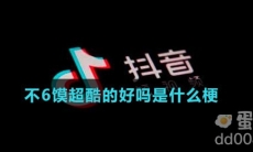 不6馍超酷的好吗是什么梗