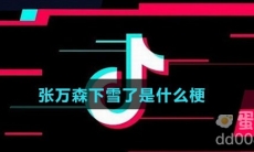 张万森下雪了是什么梗