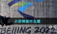 小苏神是什么梗