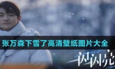 张万森下雪了高清壁纸图片大全