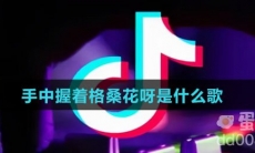 手中握着格桑花呀是什么歌