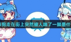 一条狗走在街上突然被人踹了一脚是什么梗
