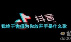 我终于舍得为你放开手是什么歌