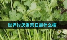 世界讨厌香菜日是什么梗