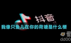 我像只鱼儿在你的荷塘是什么梗