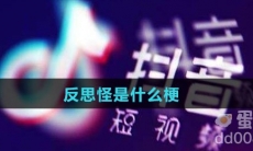 反思怪是什么梗