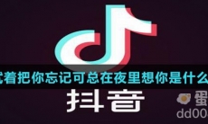 我试着把你忘记可总在夜里想你是什么歌