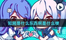知网是什么东西啊是什么梗