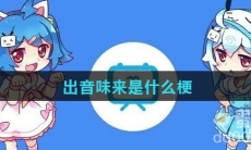 出音味来是什么梗