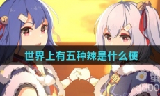 世界上有五种辣是什么梗