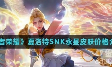 《王者荣耀》夏洛特SNK永昼皮肤价格介绍