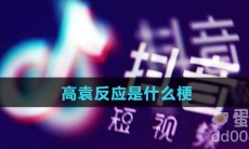 高袁反应是什么梗