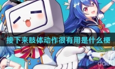 接下来肢体动作很有用是什么梗