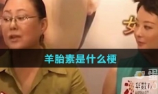 羊胎素是什么梗