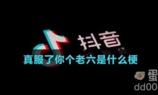 真服了你个老六是什么梗
