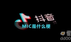 MIC是什么梗