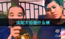 沈阳大街是什么梗