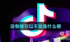 没有梗可以不发是什么梗