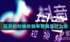 花开的时候你就来看我是什么歌