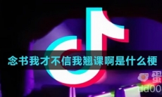 念书我才不信我翘课啊是什么梗