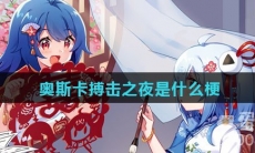 奥斯卡搏击之夜是什么梗