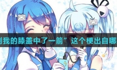 “直到我的膝盖中了一箭”这个梗出自哪款游戏