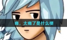 痛，太痛了是什么梗