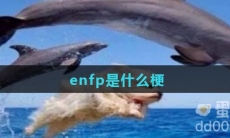 enfp是什么梗