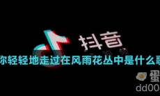 你轻轻地走过在风雨花丛中是什么歌